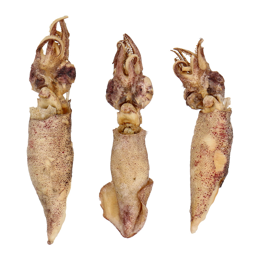 Freeze Dried Popcorn Squid - 35g