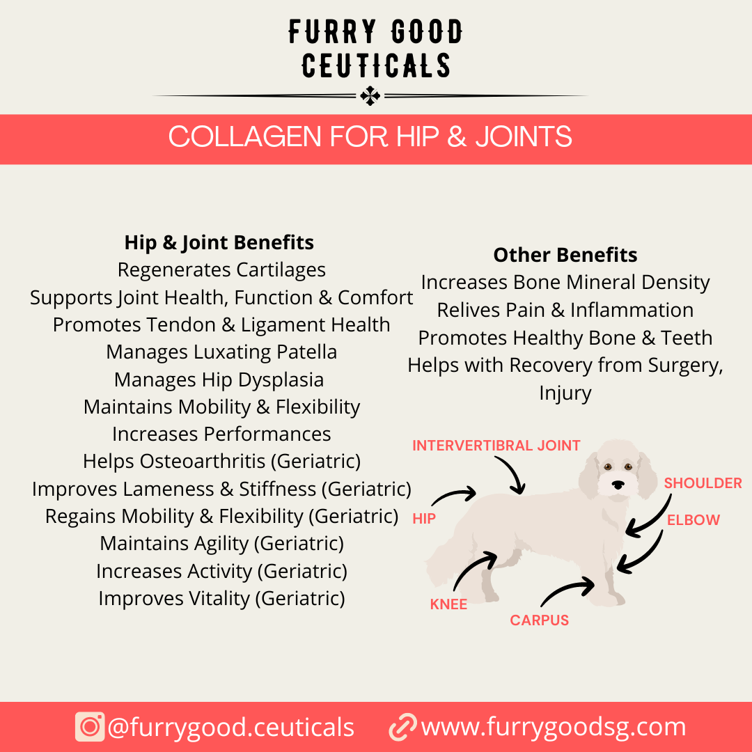 Collagen for Hip & Joints | Dogs & Cats