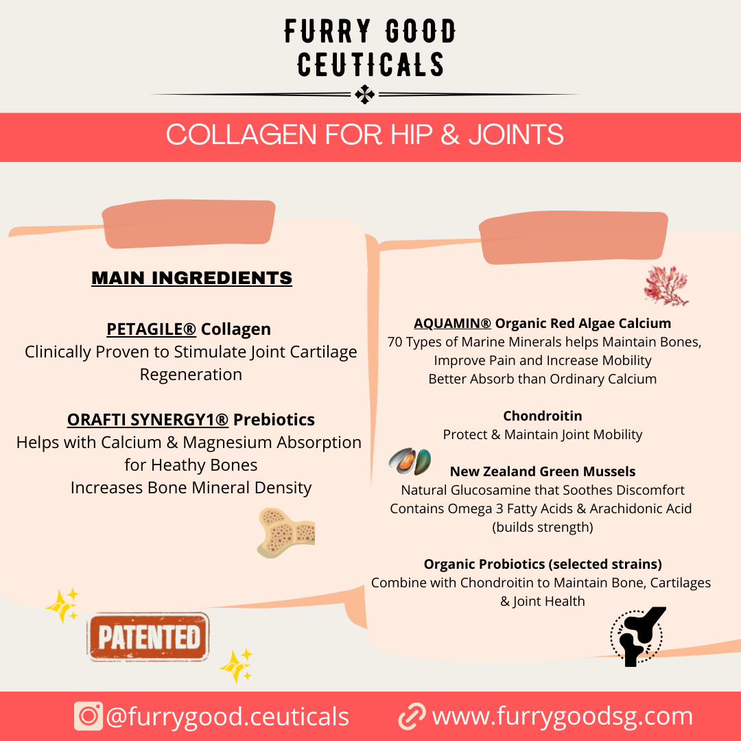 Collagen for Hip & Joints | Dogs & Cats
