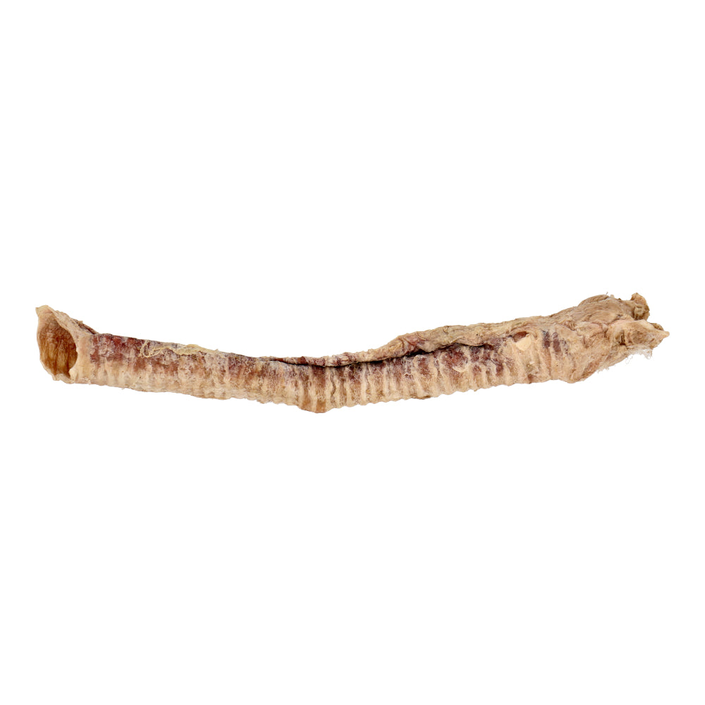 Freeze-Dried Sheep Trachea (Sheep Throat) x 3 pieces