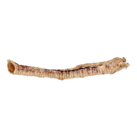 Freeze-Dried Sheep Trachea (Sheep Throat) x 3 pieces